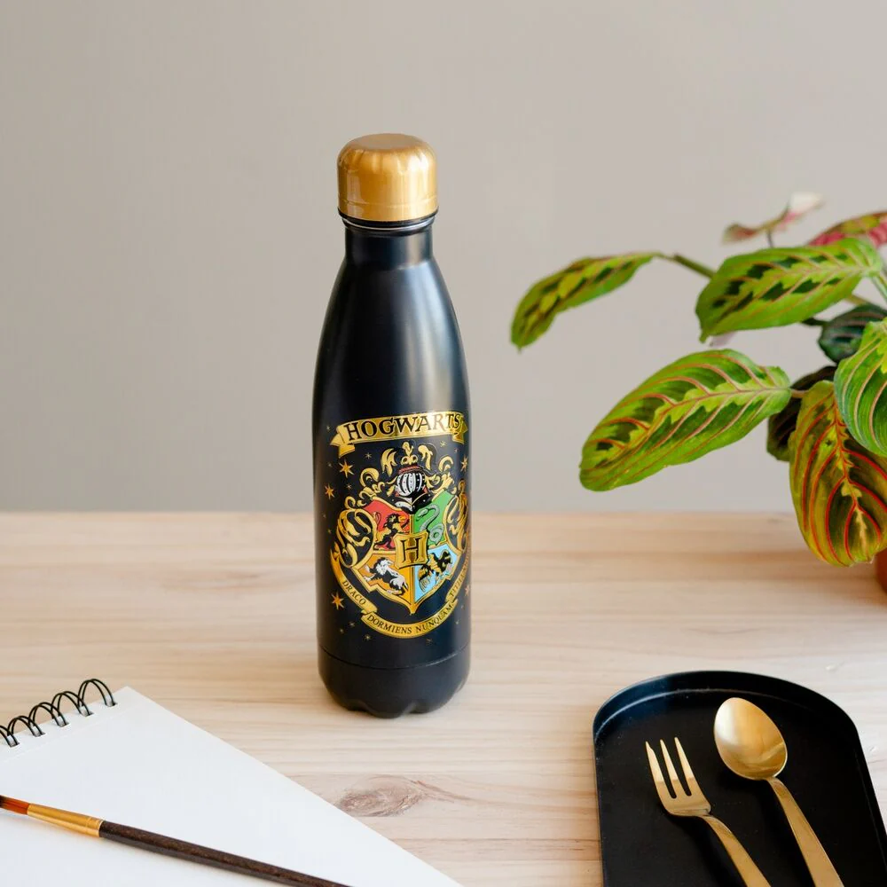 Botella Acero Inoxidable Hogwarts Harry Potter 500Ml - Image 5