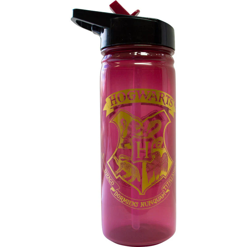 Botella Hogwarts Harry Potter 600Ml