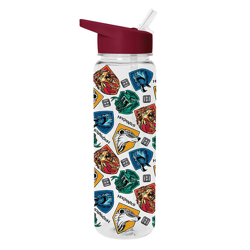Cantimplora Harry Potter 700Ml