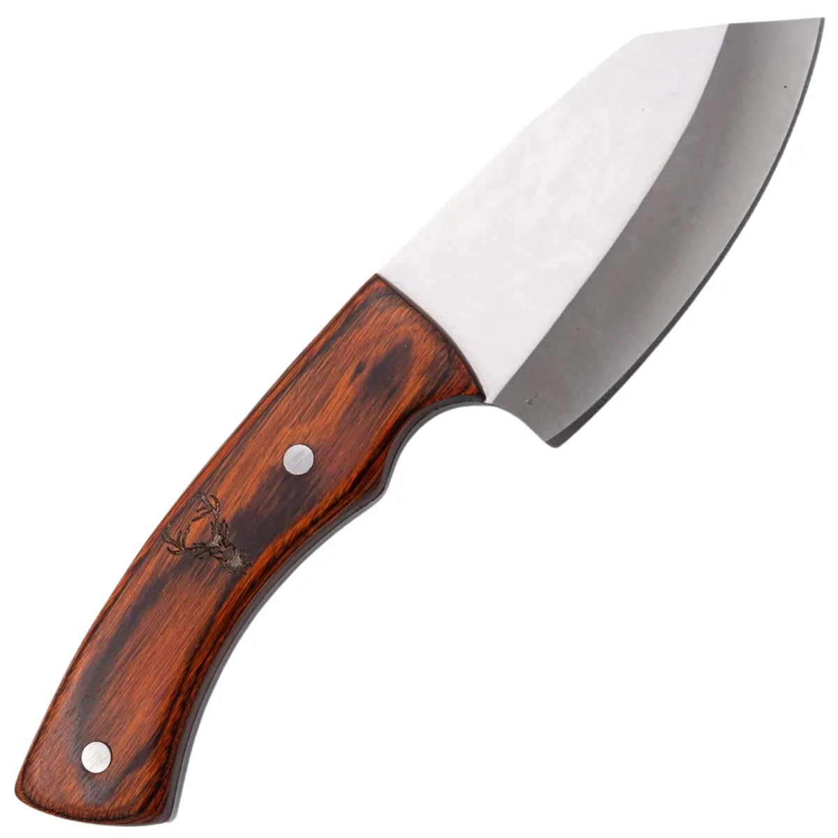 Cuchillo de Caza Third Acero 440 Satinado – Mango Pakkawood o Arce - Image 2