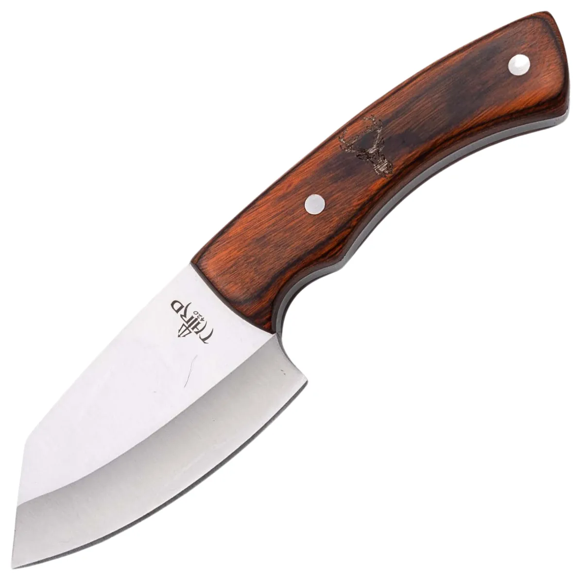 Cuchillo de Caza Third Acero 440 Satinado – Mango Pakkawood o Arce - Image 3