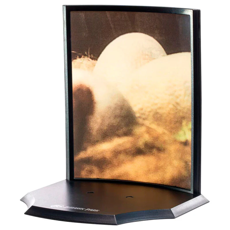 Estatua Raptor Egg Jurassic Park 12Cm - Image 2