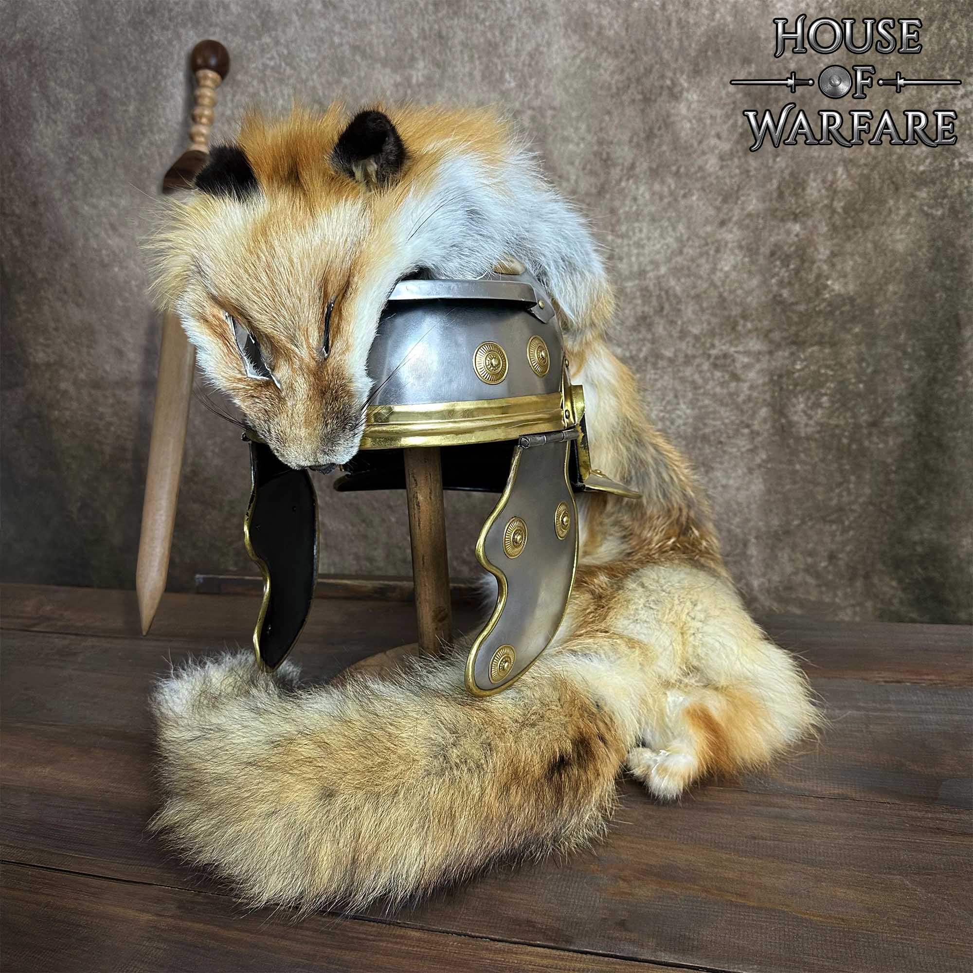Fantasía Medieval Vikingo Piel de Zorro Natural - Image 6