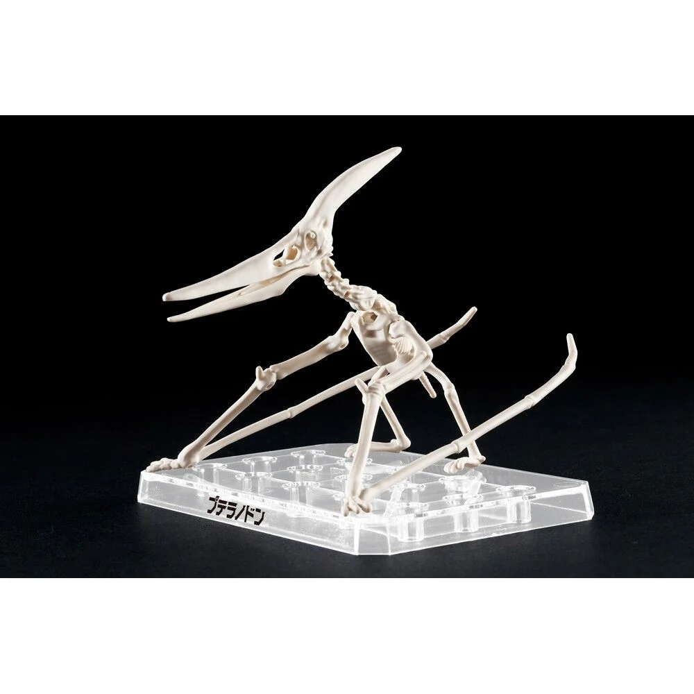 Figura Model Kit Pteranodon Plannosaurus - Image 4