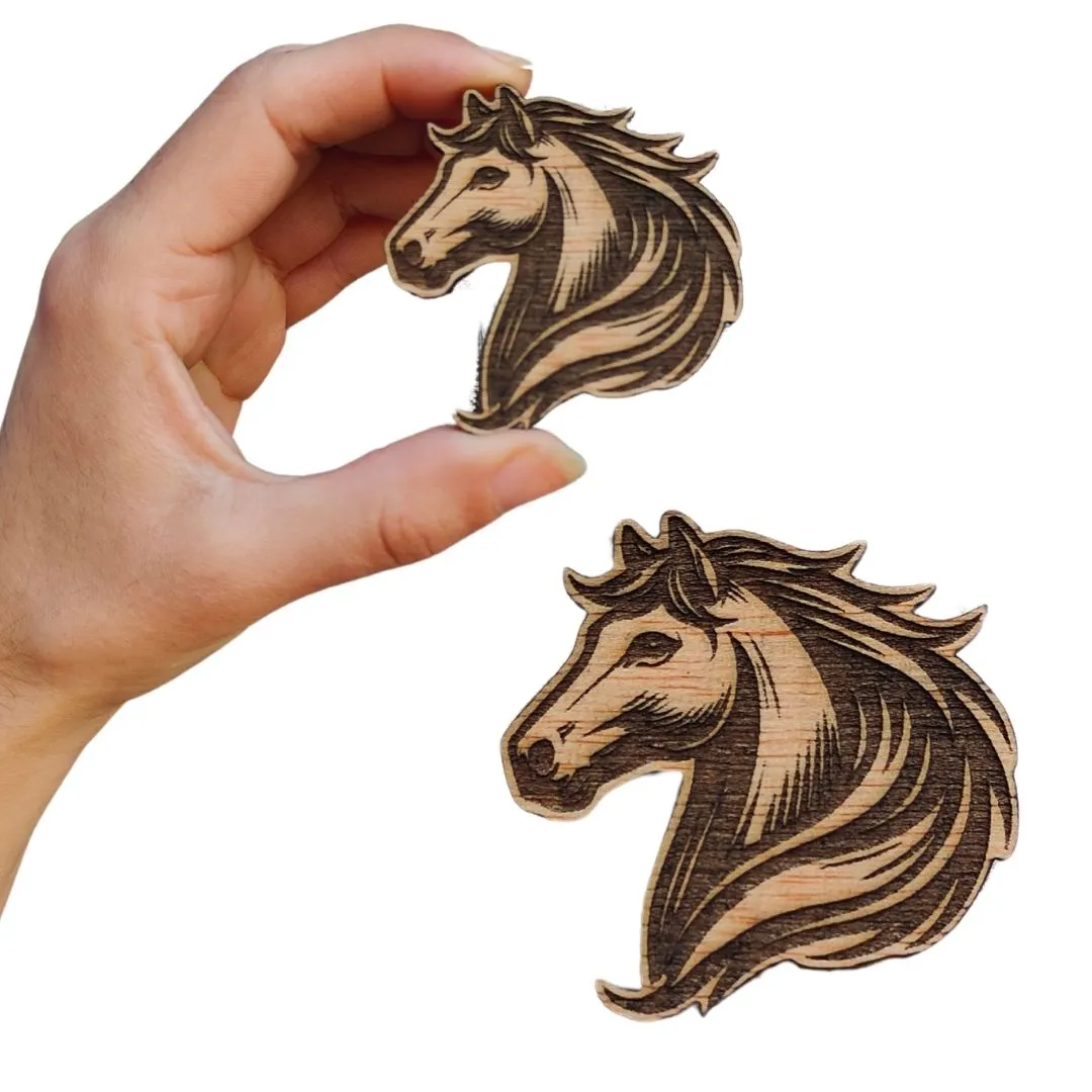 Imán Caballo 2