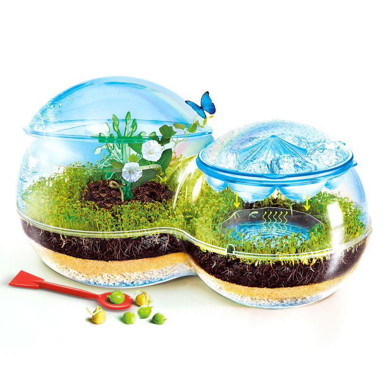 La Biosfera - Image 2