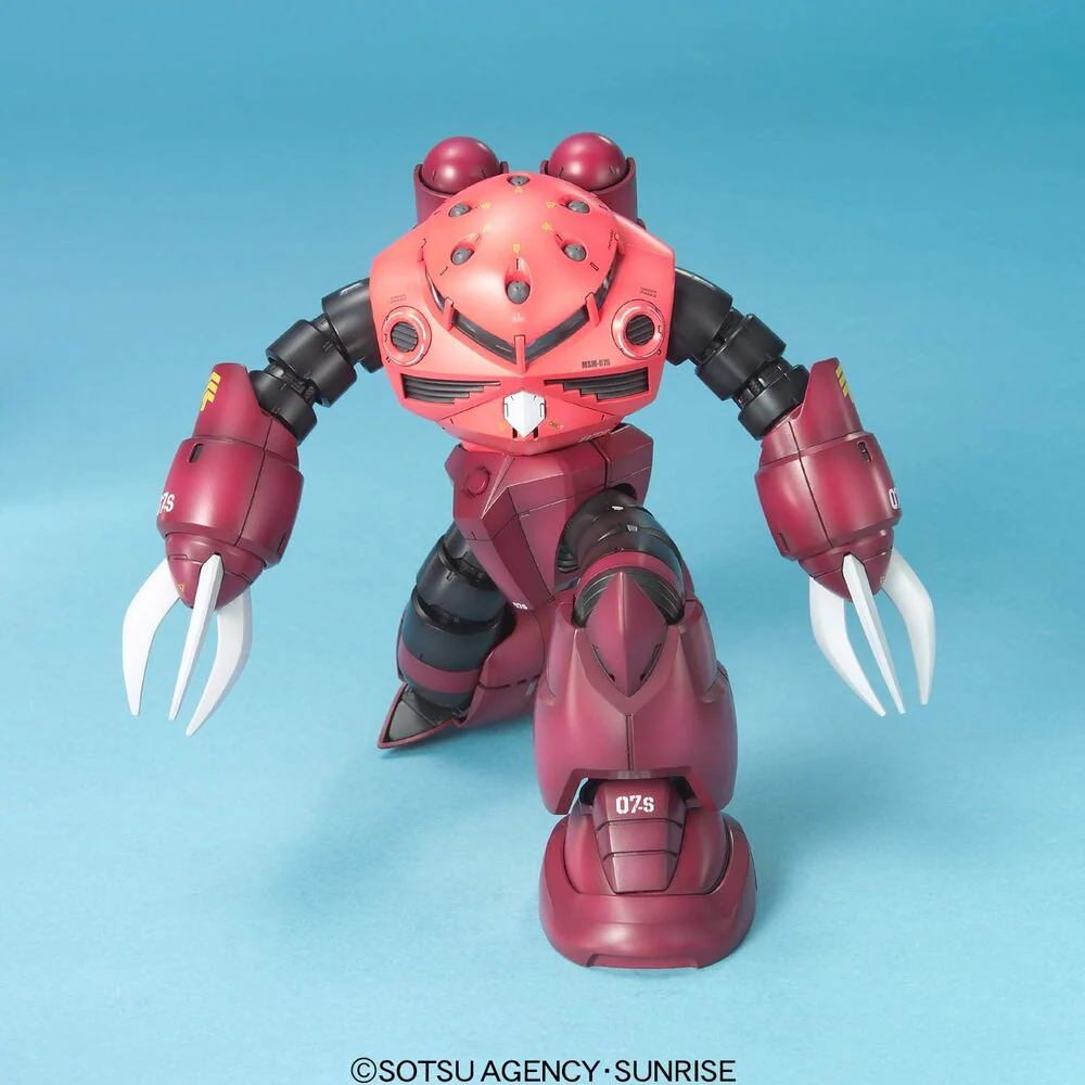 Maqueta Mg 1/100 Msm-07 Z'gok Char's Custom