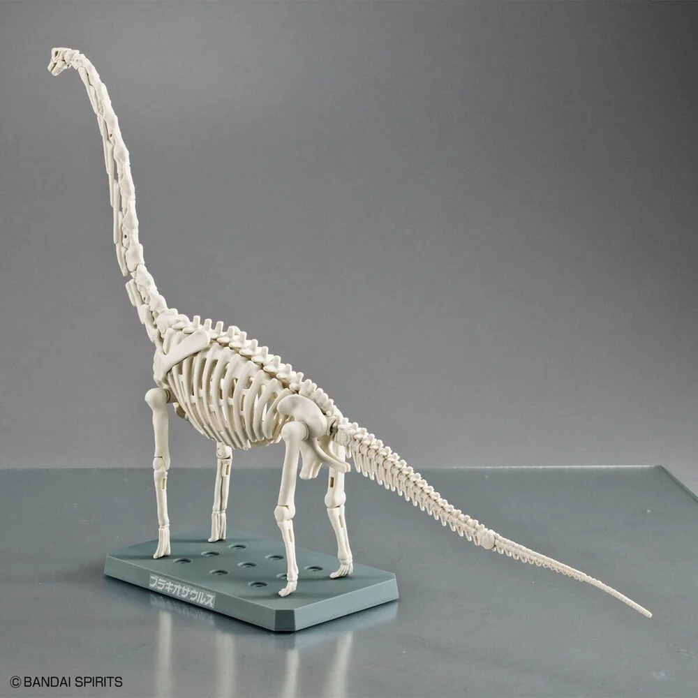Maqueta Plannosaurus Brachiosaurus - Image 4