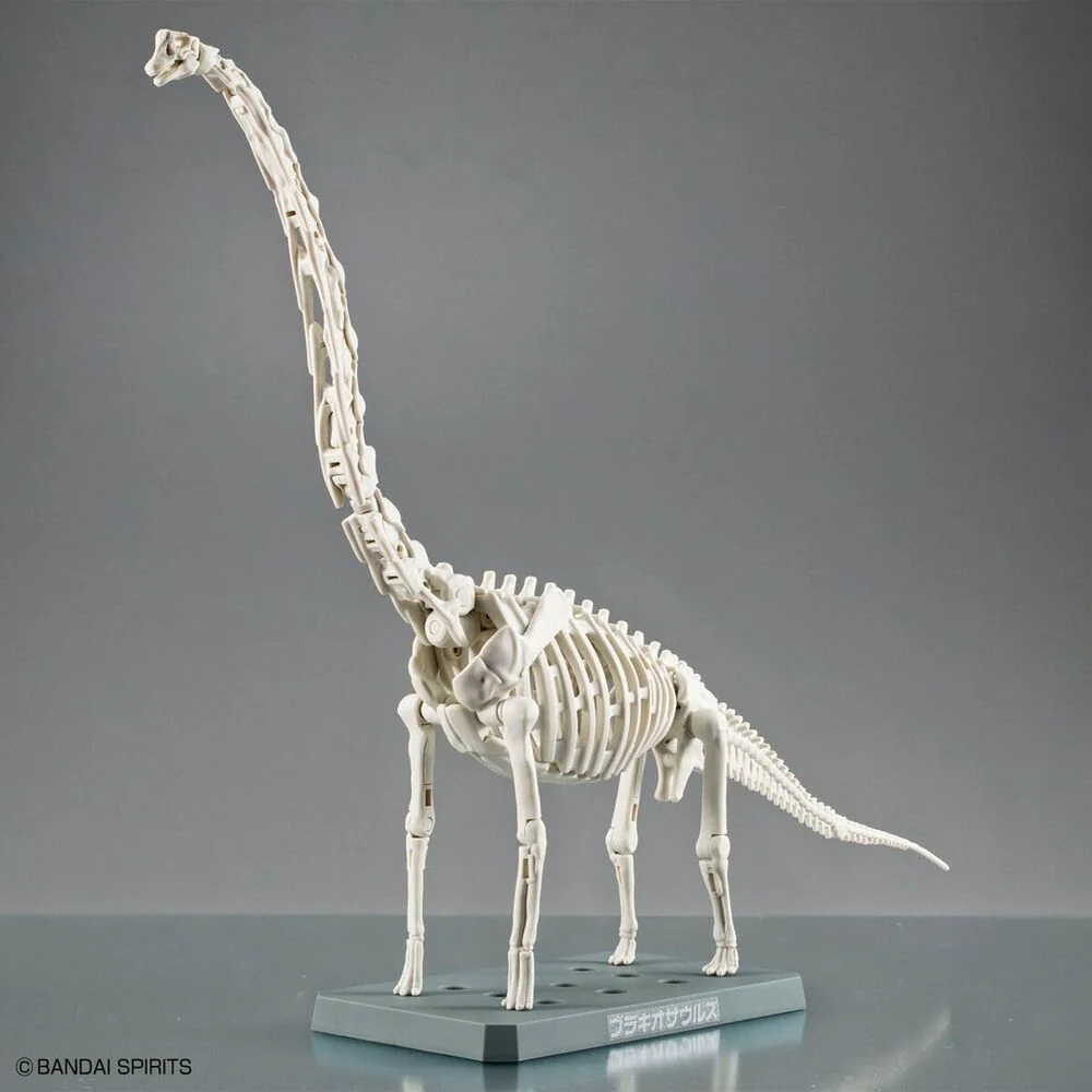 Maqueta Plannosaurus Brachiosaurus - Image 5