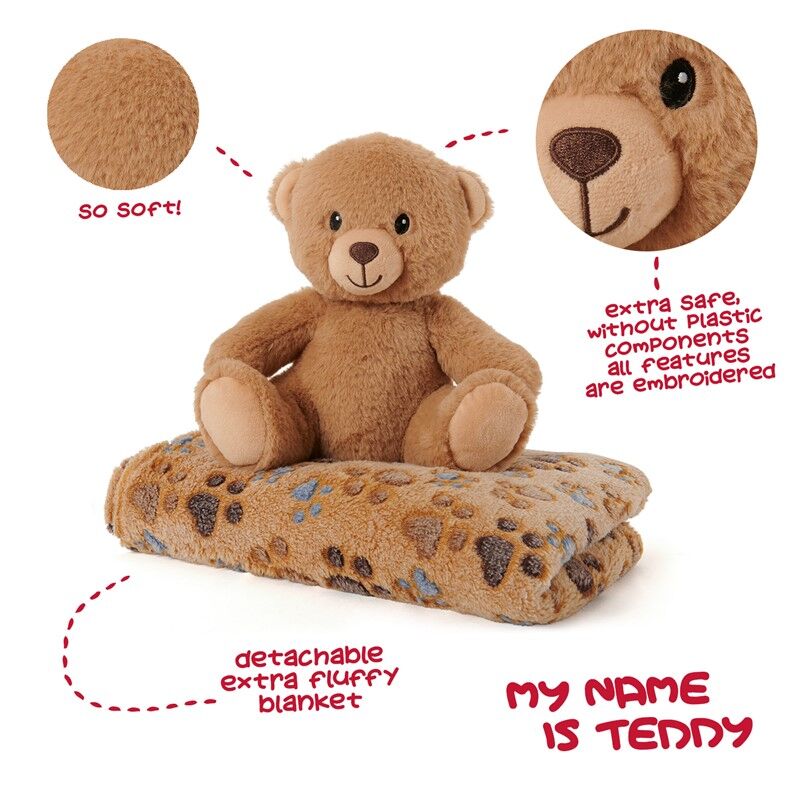 Peluche + Manta Suave Oso Teddy 22Cm - Image 3