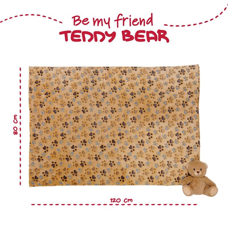 Peluche + Manta Suave Oso Teddy 22Cm - Image 4