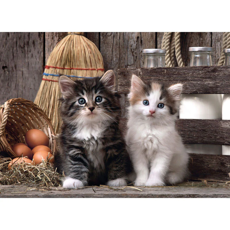 Puzzle Lovely Kittens 1000Pzs