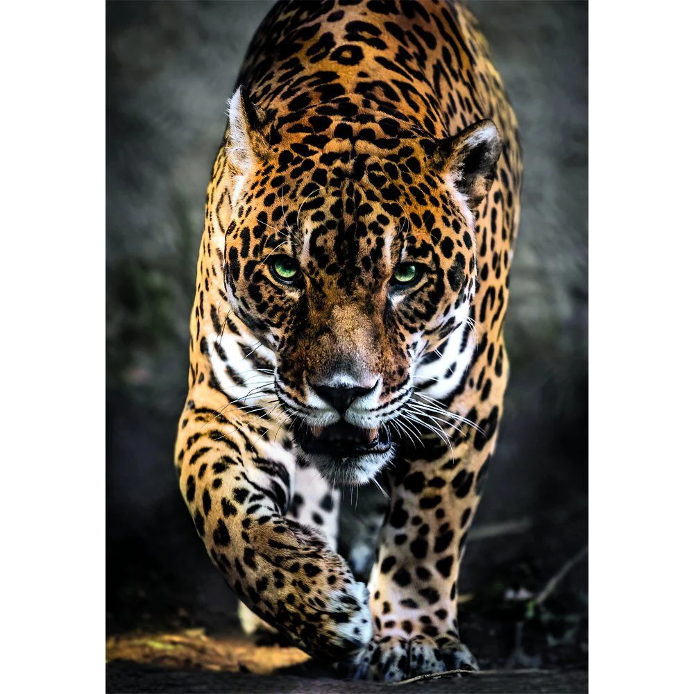 Puzzle Walk Of The Jaguar High Quality 1000Pzs